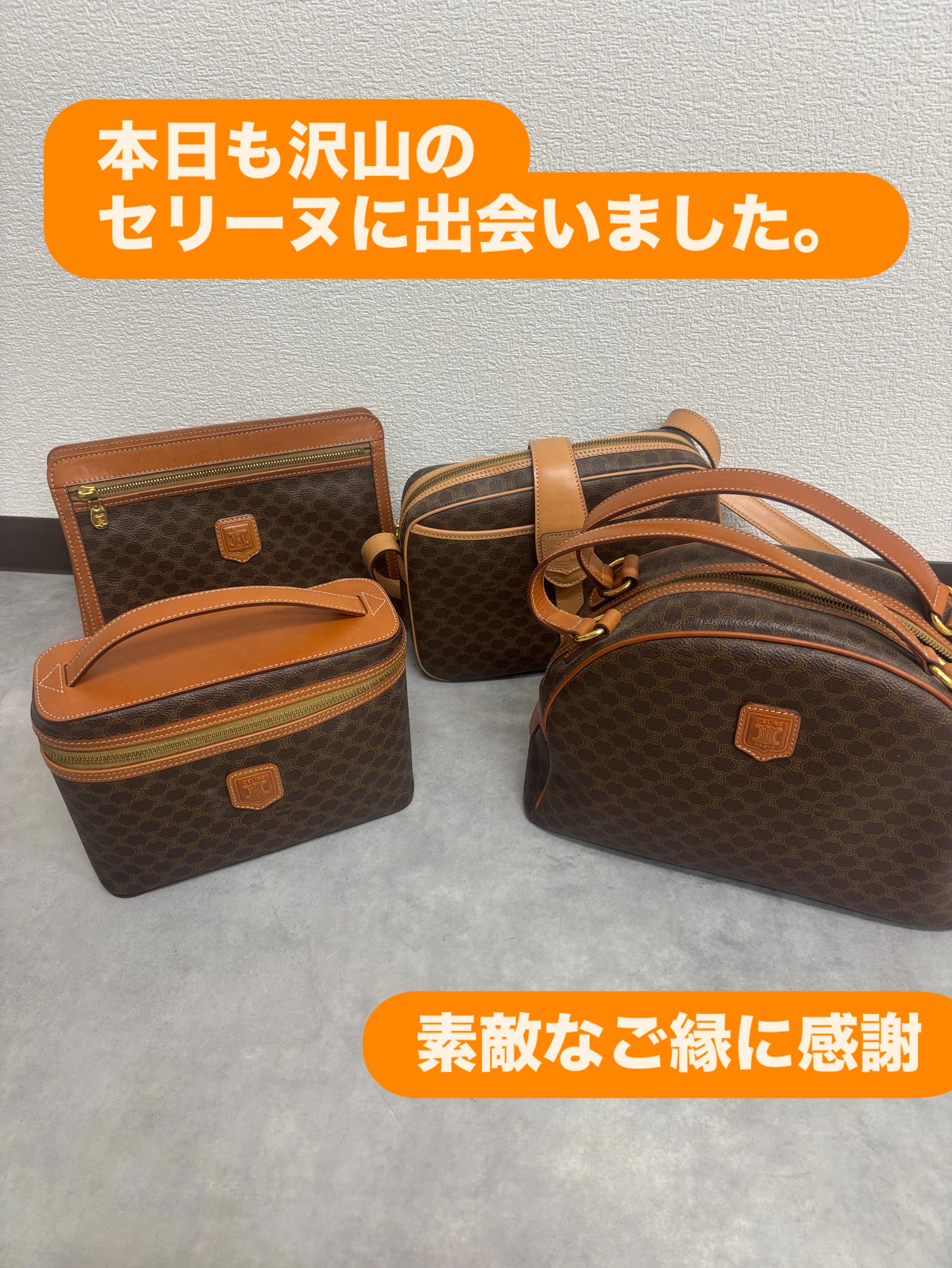 【西脇市でセリーヌ買取ならお任せください】マカダム柄バッグを多数お買取りしました のサムネイル